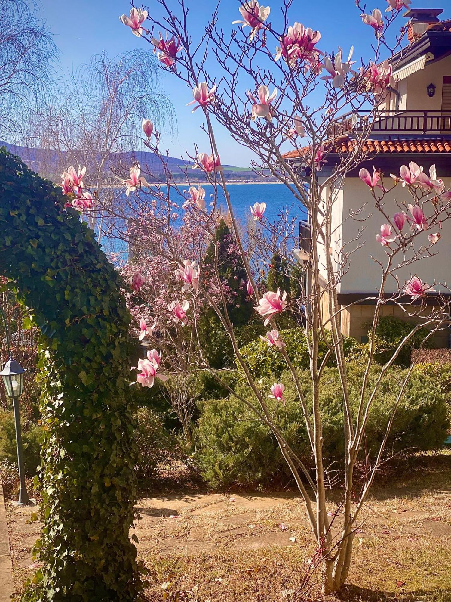 Aj Apartment 1 With Pool View, Santa Marina Holiday Village, סוזופול מראה חיצוני תמונה